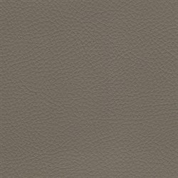 Coventry Dk Grey Brandy Coventry Dk Grey - фото 4574