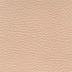 Термопленка ТМ Beige Термопленка ТМ Beige - фото 4591