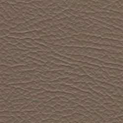 196 GREY Taj Vinyl 196_grey - фото 4606