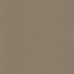 Coventry Beige 1739 - фото 4749