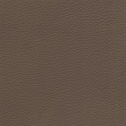 Viena Teflon Brandy Viena Teflon
