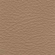 196 BEIGE Taj Vinyl 196_beige