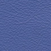 196 R BLUE Taj Vinyl 196_rblue