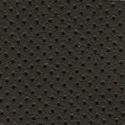 E 22 BLACK e22 black