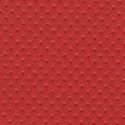 E 22 RED e22 red