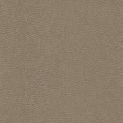 Coventry Beige 1739